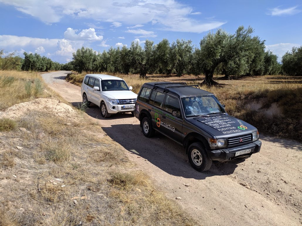 Multiaventura en Cazorla - 3